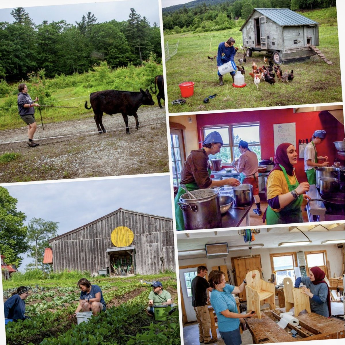 Camphill Foundation tweet media