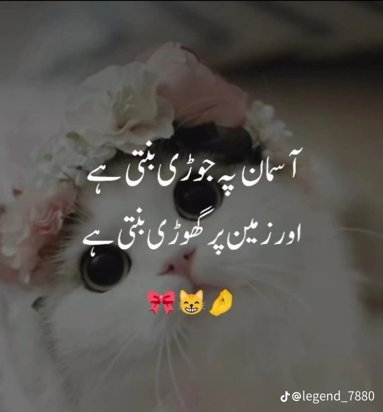 dr zoya tweet media
