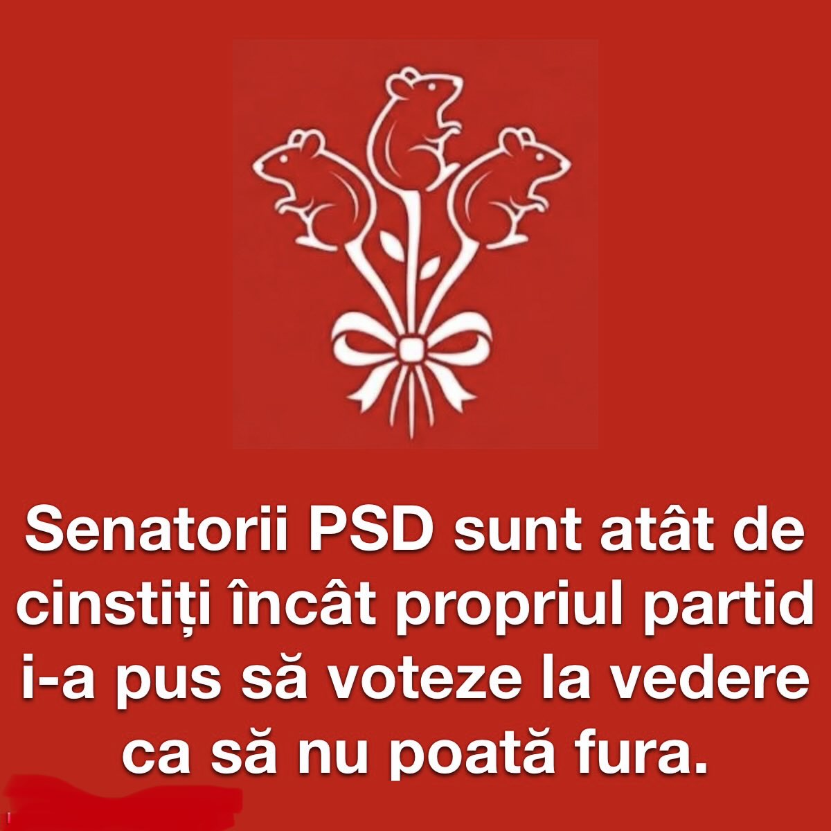 bogdansuditu's tweet photo. Să se facă beznă acum, să se poată fura în liniște https://t.co/XqOMsiYFUc