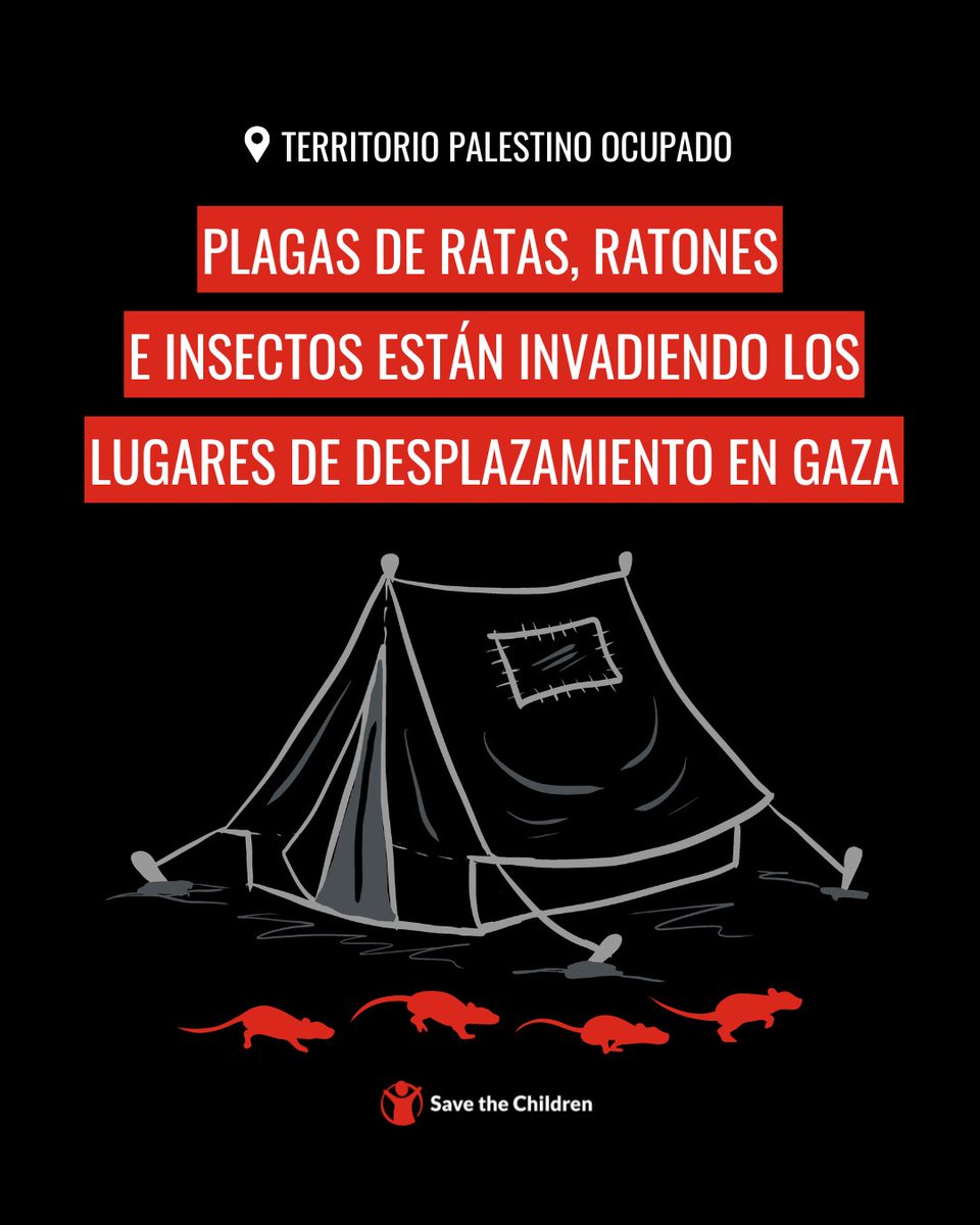 Save the Children Es tweet media