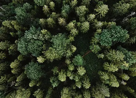 gnsys_inf's tweet photo. Envizi: Software ESG diseñado para acompañarte en tu camino hacia la sostenibilidad. Tanto si acabas de empezar a calcular un inventario de emisiones como si estás inmerso en el proceso de descarbonización de tus operaciones, Envizi te apoya.#cumplimiento https://t.co/FqmQAmQwJD https://t.co/hni1dQzQzv