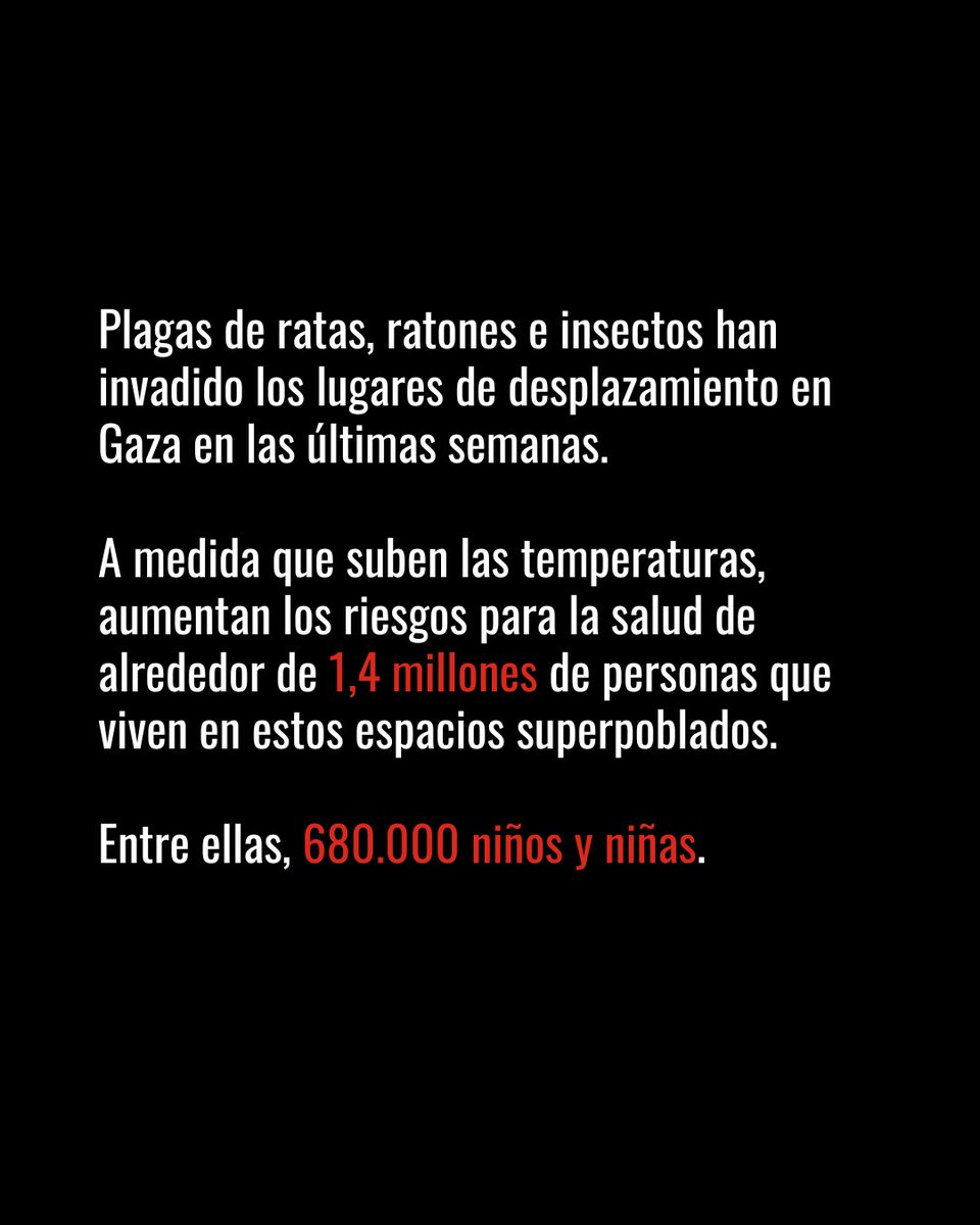 Save the Children Es tweet media