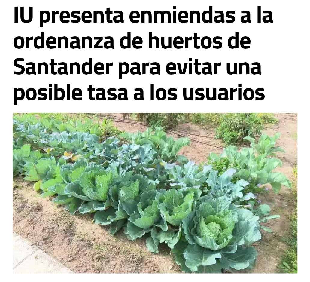 Keruin P. Martínez 🌪️🌴🔻 tweet media