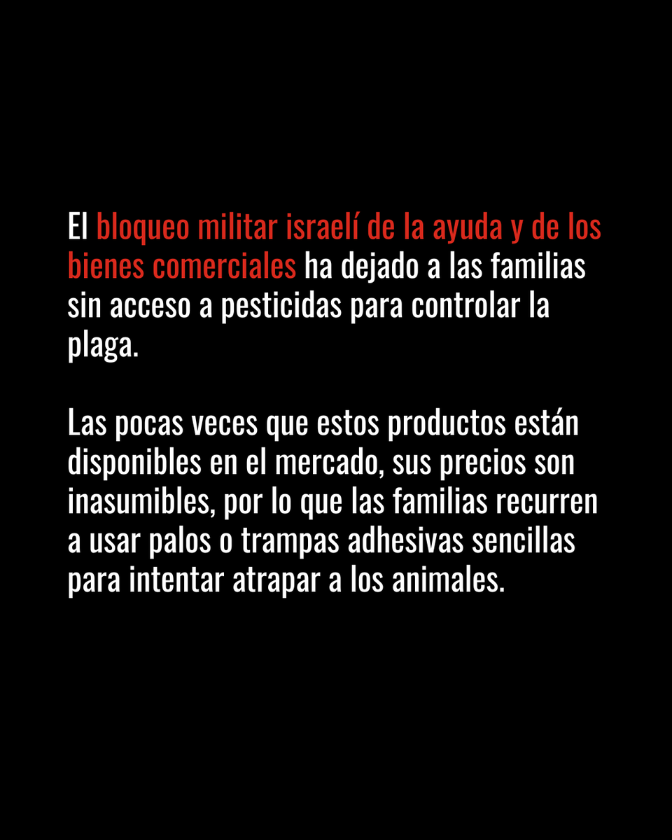 Save the Children Es tweet media