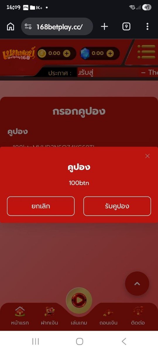 แมวนำโชค tweet media