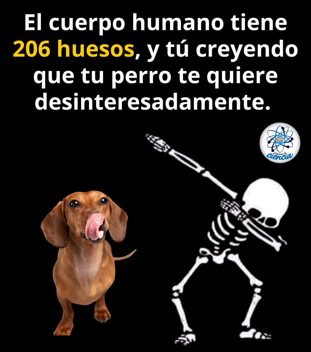 EnsedeCiencia's tweet photo. Ahora lo sabes. 😉 https://t.co/VfisOemO40