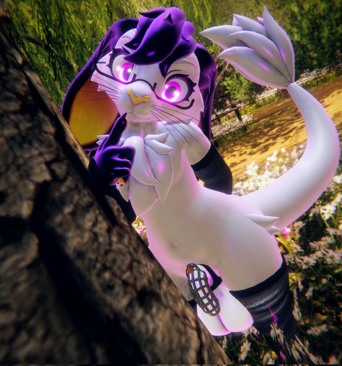 🦇 Kamari 🦇 🔜 FWA tweet media