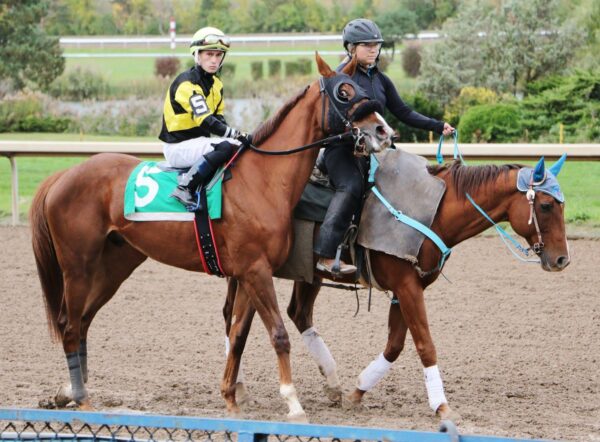 Jockeys Canada tweet media