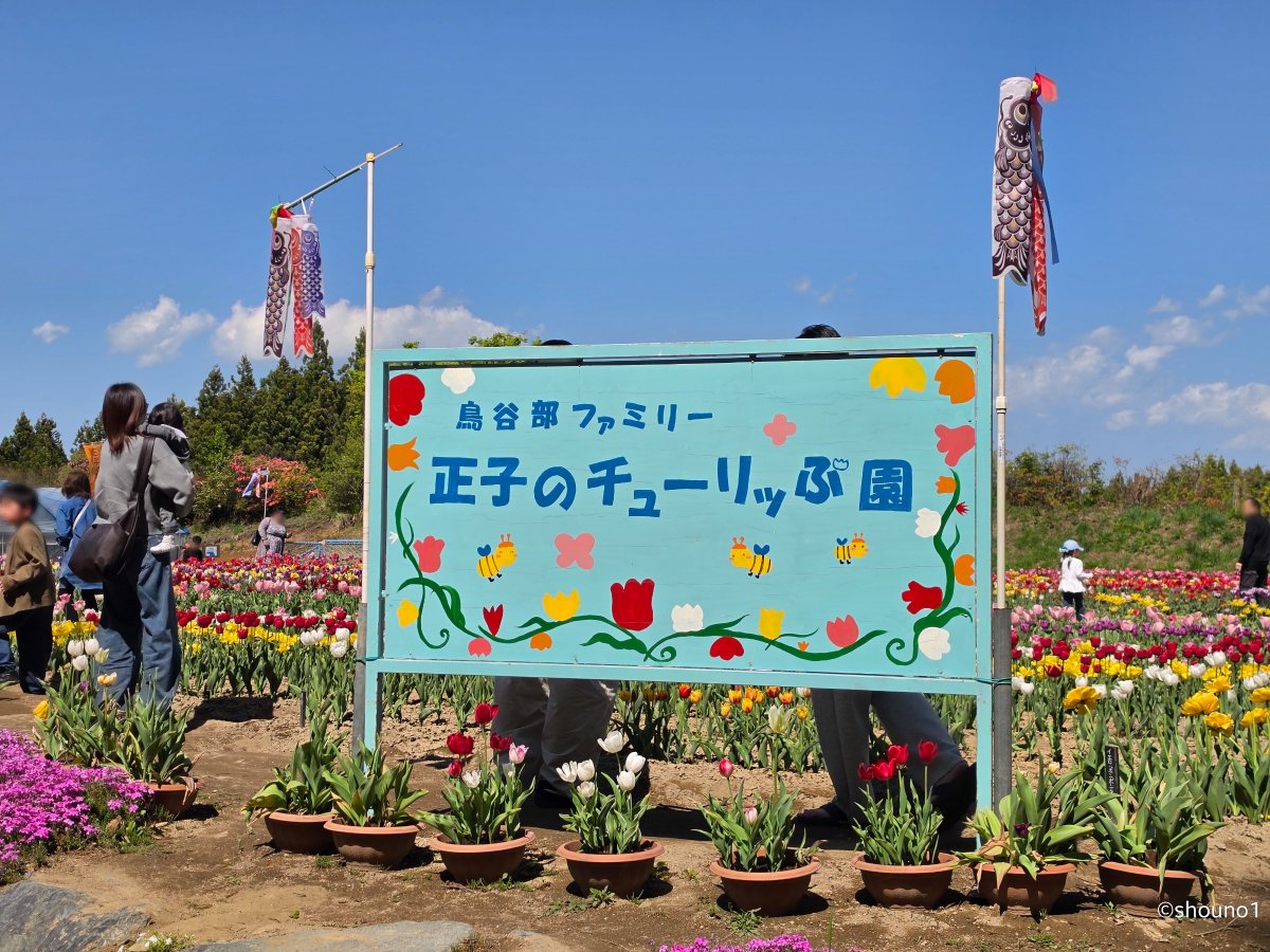 里中游　花畑の虹　F6号　額入り 正子のチューリッぷ園 🌷】 □開園期間 2026年4月25日(土)～5月10日(日