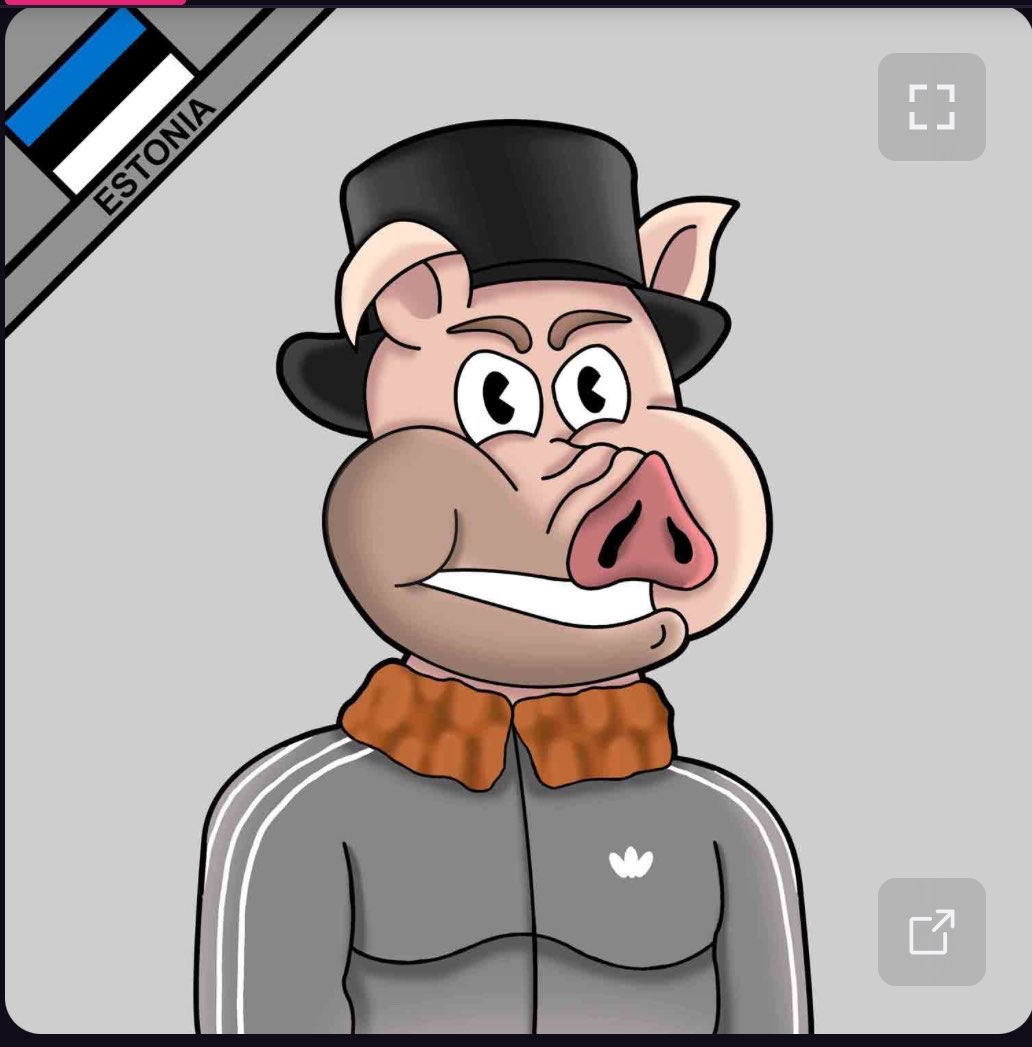 lionhearted2288's tweet image. Love my #Piggies #Pigs @Piggies_World show love to all my #Family @piggedbypiggy @pig_general @xverse @Satflow @sub10k #LowInscriptions #BTC #Bitcoin #Ordinals #Art