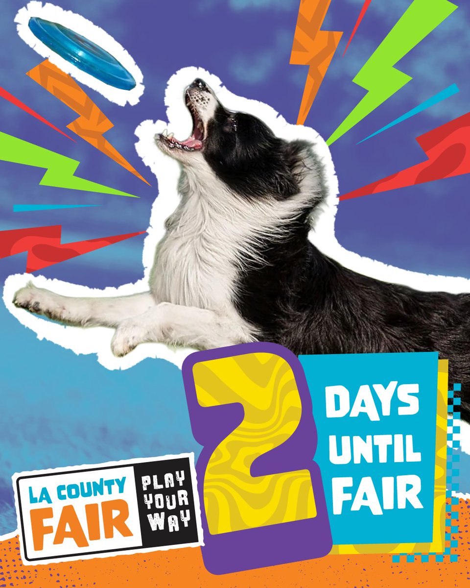 LA County Fair tweet media