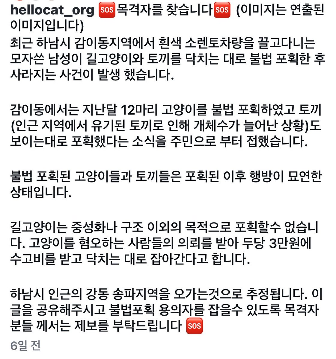 하남시 감이동 지역에서 흰색 쏘렌토 차량에 고양이, 토끼 포획도구를 싣고 고양이와 토끼를 마구 잡아가는 남성이 있다고 합니다. 해당 남성에 대한 제보를 받는다고 합니다. 
원문 댓글을 보면 위례에서도 고양이들이 사라지고 있나봐요. 

instagram.com/p/DXuNfE2gU3z/…