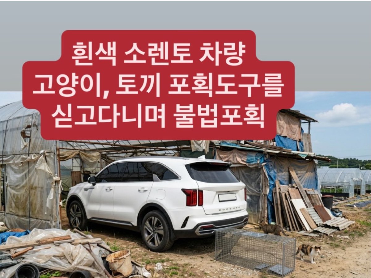 베리의 가족을 찾는 토란토미호프꿀벌네 tweet media