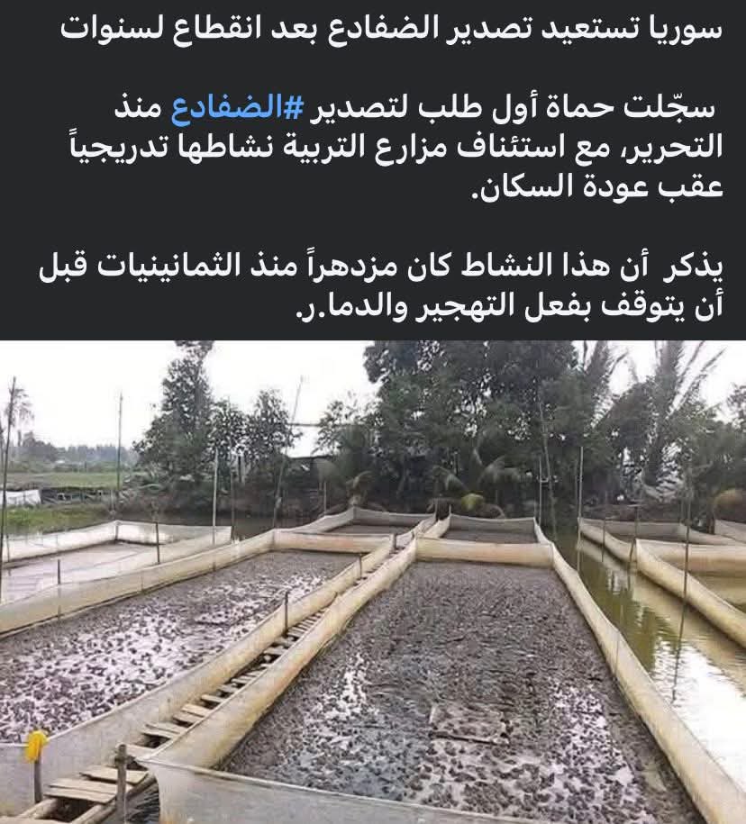 Bilal Aljaber tweet media