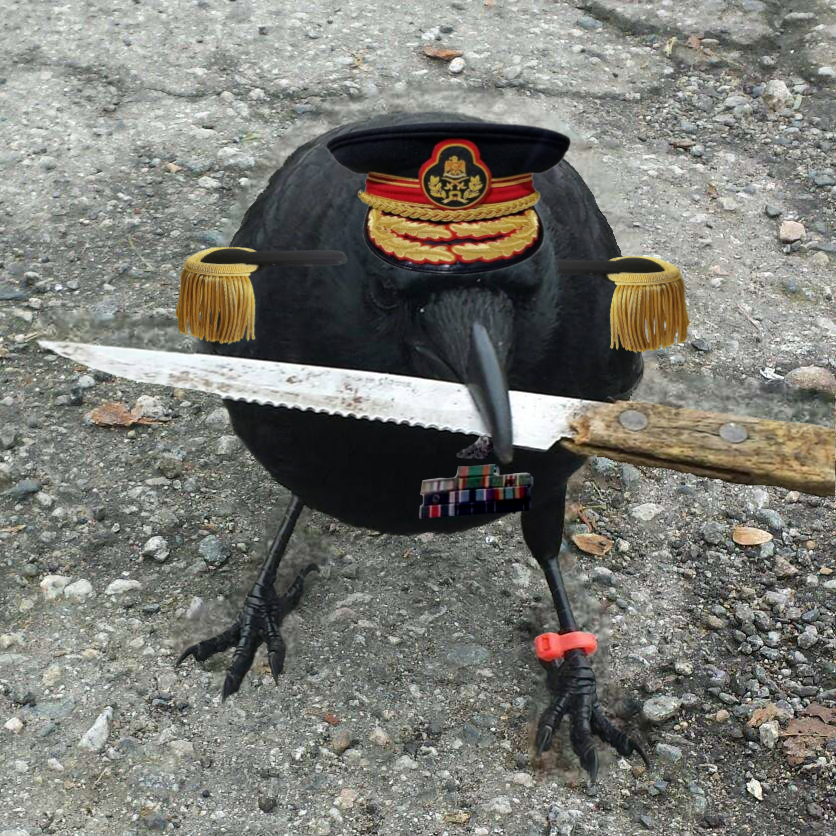 crow_with_knife's tweet photo. the beatings will continue until morale improves

crow with knife https://t.co/xthUyUE5b0