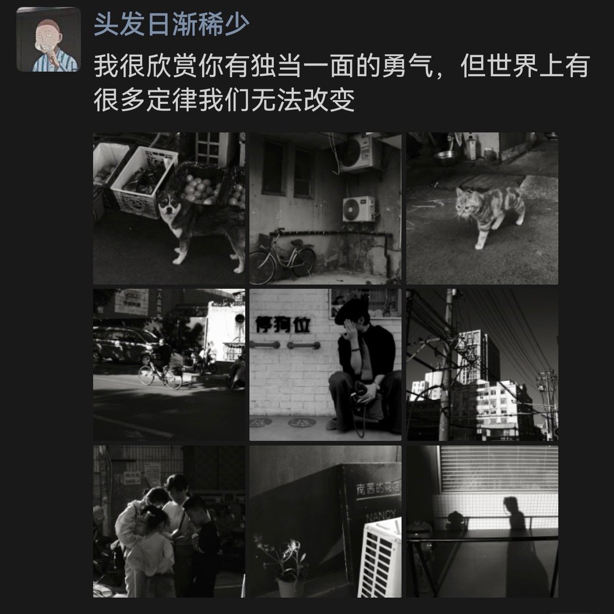 头发日渐稀少 tweet media