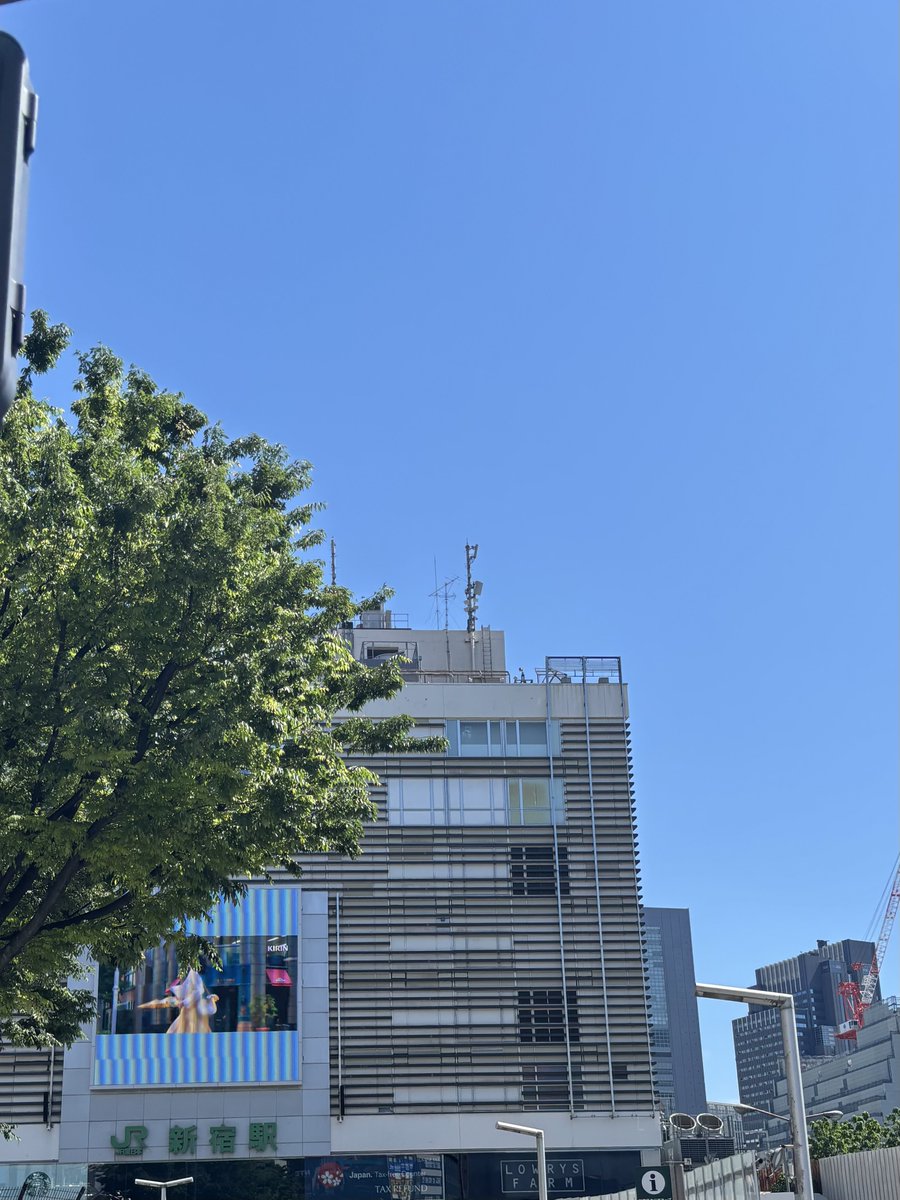 梨月 tweet media