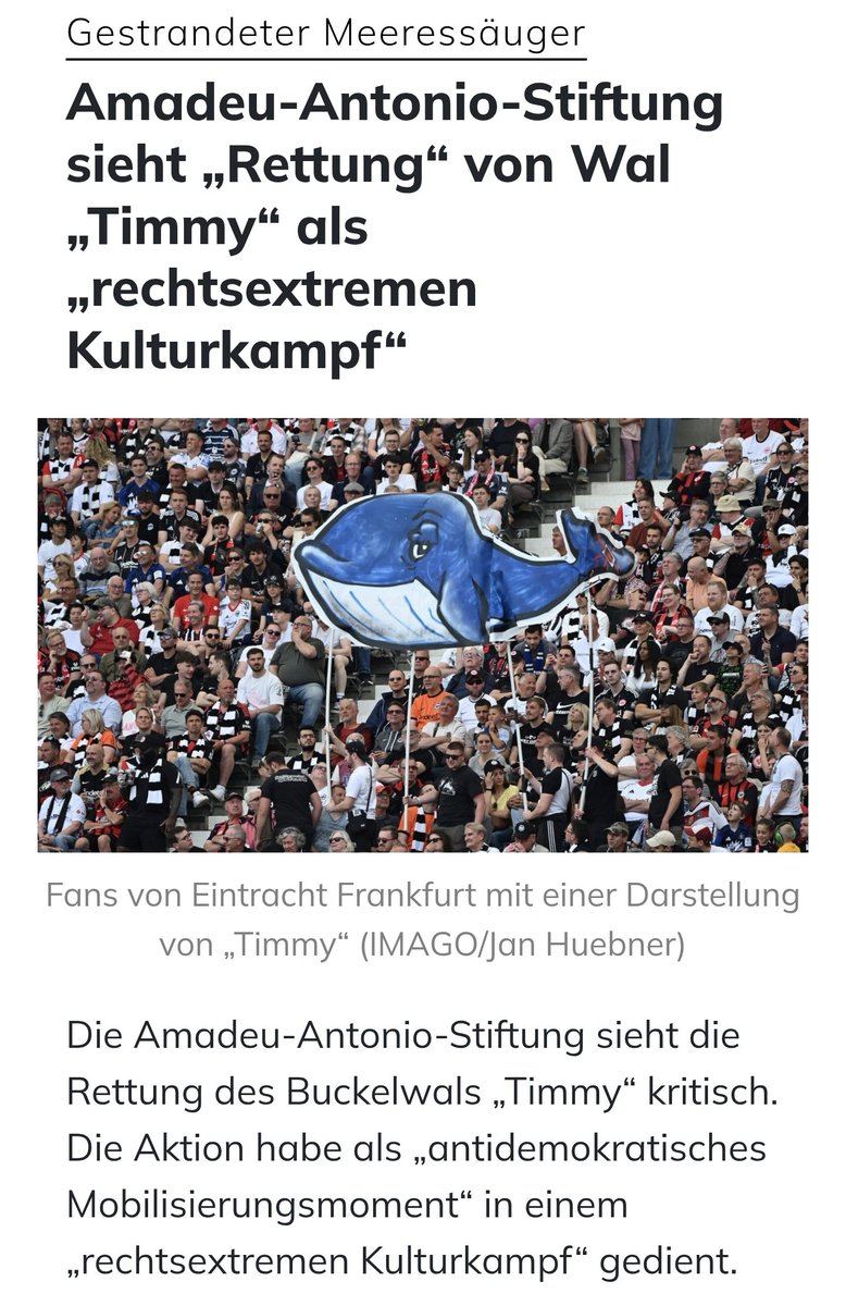 🇩🇪LilitThyra🩶 tweet media
