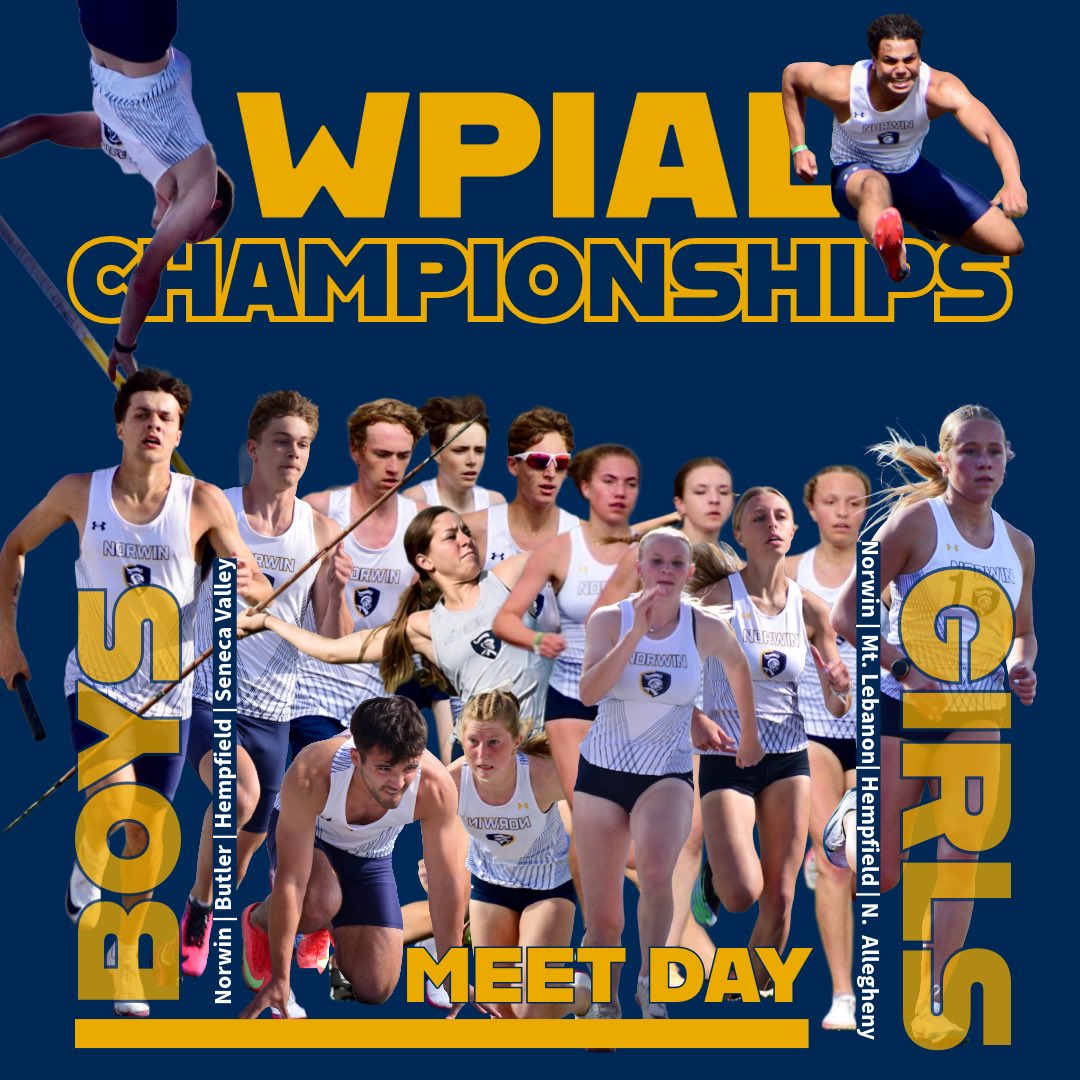Norwin Track & Field tweet media