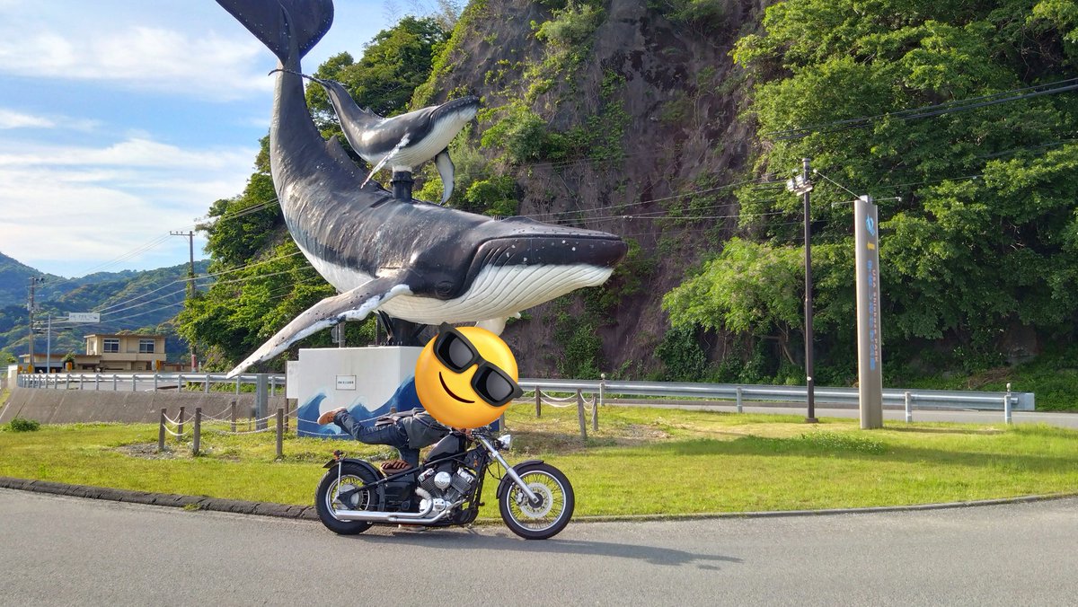 1996_DS400's tweet photo. 高知県に侵入中（笑）
現存12天守の１つ、攻略。
ミレービスケットって色んな味があるんですね
#DS400
#ドラッグスター
ミレービスケットのニンニク味、ブラックペッパー味
🍶桂月、🍶美丈夫、旨しです♪
明日は四国カルストへ行ってみます https://t.co/vRQmLqQnnG