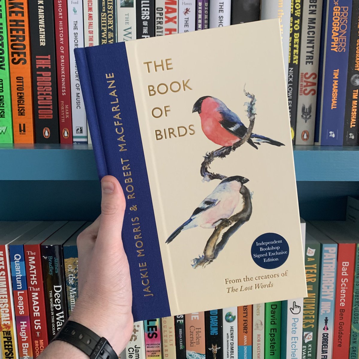 Bert’s Books tweet media