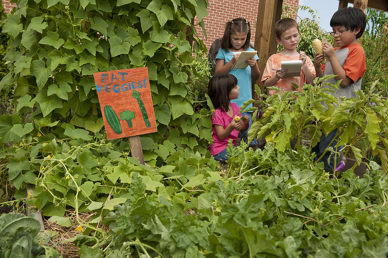 USDA_FNS's tweet image. REAL FOOD is where it’s at! The Patrick Leahy Farm to School Grant Program is helping schools serve healthier meals aligned with the 2025–2030 #DietaryGuidelines. Learn more: fns.usda.gov/newsroom/fns-0… #MAHA #FarmtoSchool