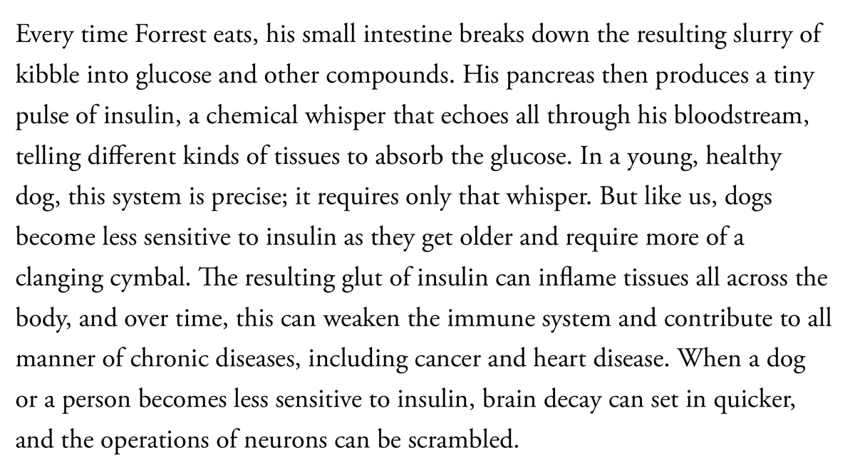 bigfatsurprise's tweet photo. A longevity pill for dogs reduces insulin resistance--which, as this  @NewYorker writer explains (quite well!), leads to inflammation, disease, and shortened life...in DOGs. 🐕🐕🐕

Of course, the same is true in humans, but I've never seen a NYer article on insulin resistance in humans, or how it can be reversed, not with a new drug, but with diet alone. For dogs, just switch from kibble (full of starch) to meat--same effect!