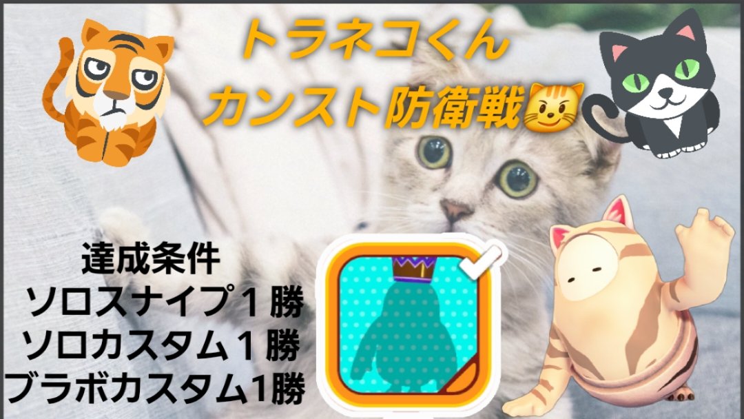 ネコくん
