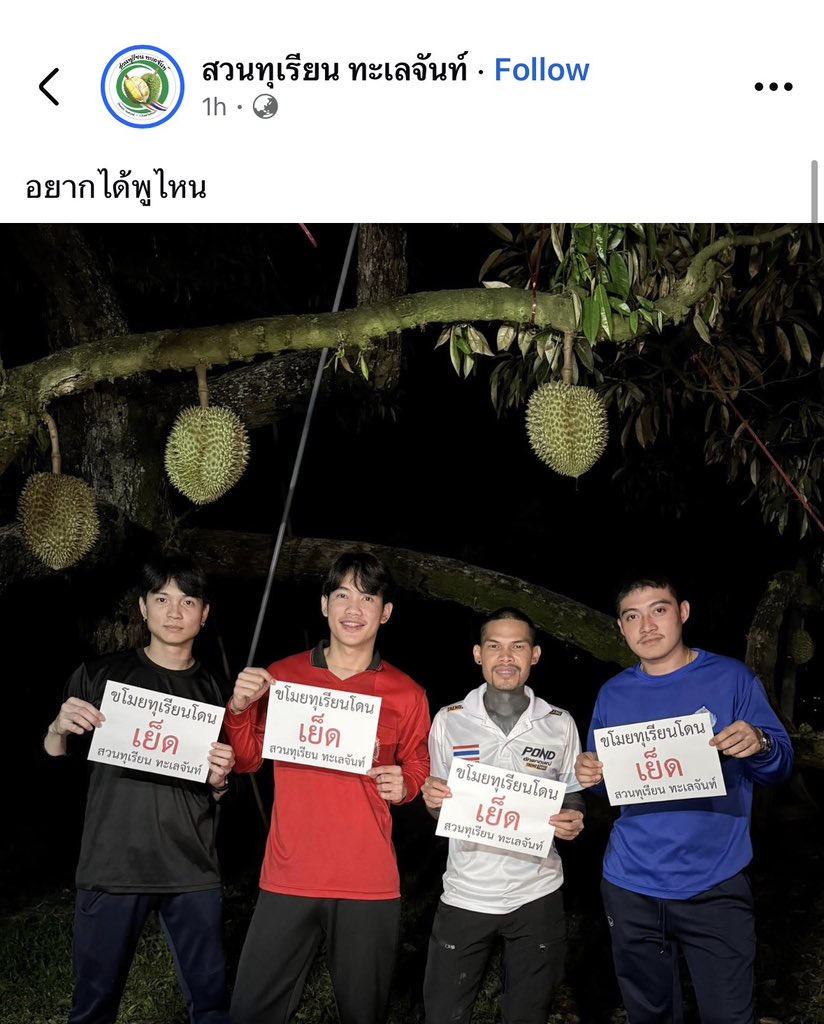 รีแอคชั่น วิดีโอ🏳️‍🌈 tweet media