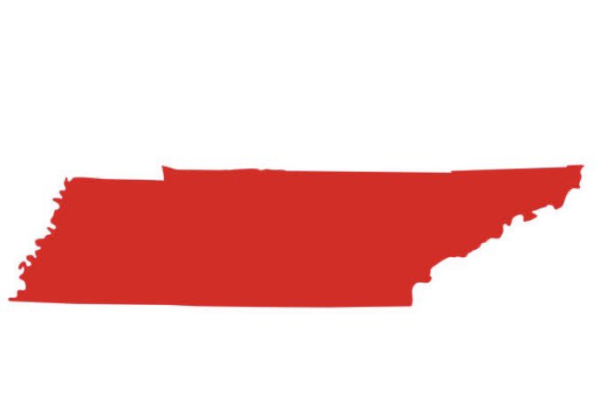 The Tennessee Conservatives Coalition tweet media