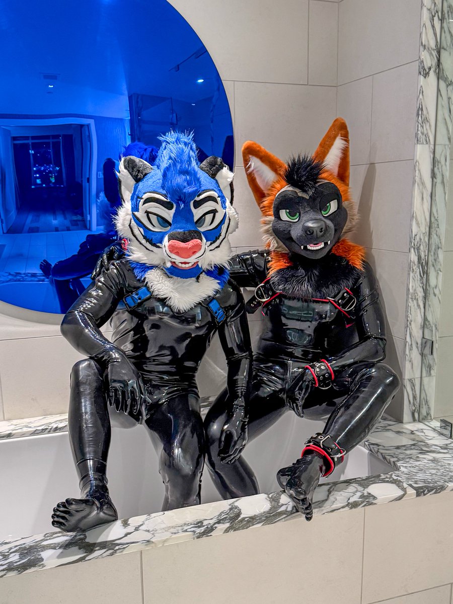 Would you join these shiny critters? 😈✨
🍊 <a href="/ADedranWolf/">Dedran/Orbit 🔜 PW</a> 
📸 <a href="/XaiCorrupted/">Xai the Corrupted 🔜 FWA, ???</a>