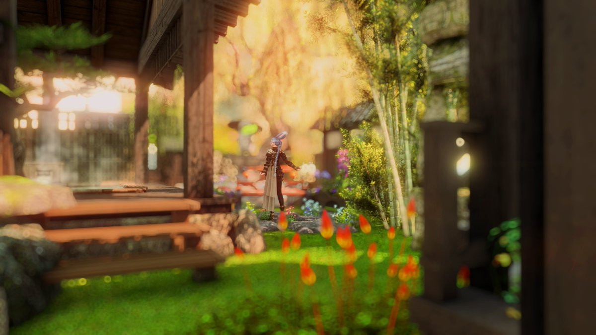 anriel_gpose's tweet photo. Upgraded my small garden https://t.co/BR2iu7Wlig