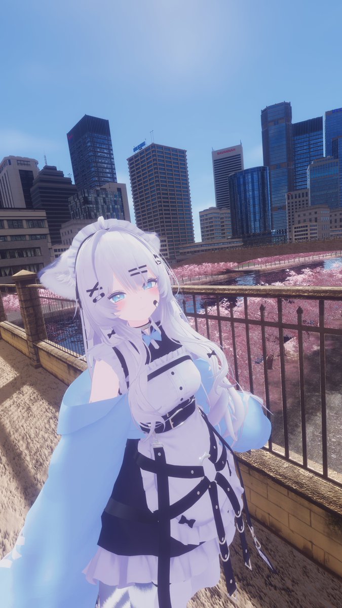 おはようございます！