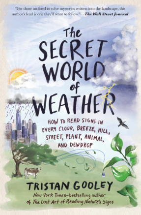 WeathermanMahan's tweet image. Are you a weather enthusiast? Check out my top favorite books — from the technical to the bedtime story for the little one(s). Math, physics, mechanics, visuals, field training...all the above!

bostonglobe.com/2026/05/05/met…

#mawx #newengland #boston @BostonGlobe