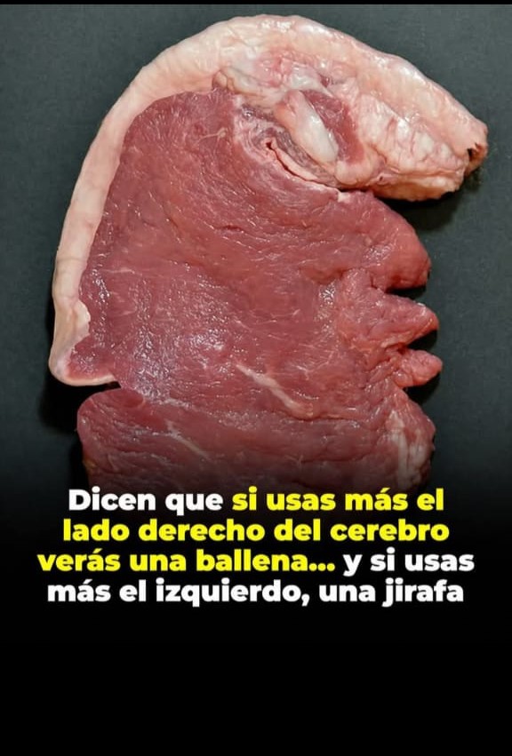 Roxi🇵🇾🇦🇷 tweet media
