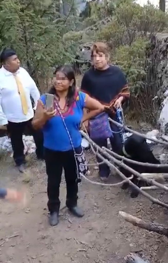 factormx_'s tweet image. 🚨🐕‍🦺 Habitantes de #Temoaya casi linchan a dos mujeres provenientes de la #CDMX, tras acusarlas de realizar presuntos rituales y meter a su perro a los manantiales de Tres Ojuelos. Cuando serían liberadas, pobladores irrumpieron en la comandancia y las agredieron.