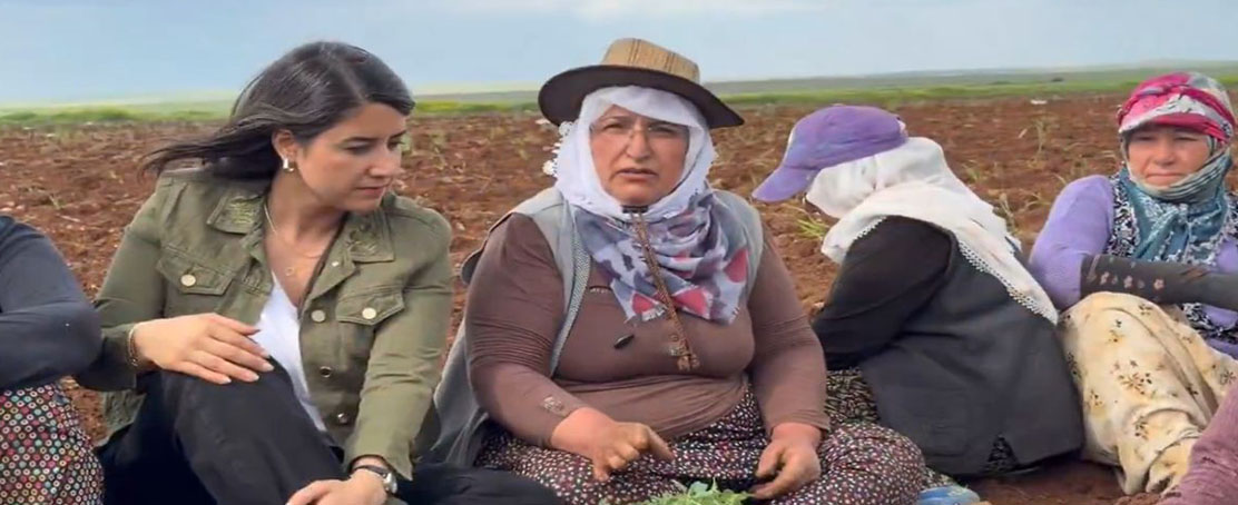 objektifpress's tweet image. Mevsimlik Tarım İşçisi Kadınların Yaşadığı Sorunlar Vekil Ayan Tarafından Meclis’e Taşındı! 
objektifpress.com/mevsimlik-tari… 

#sanliurfa #objektifpress #SONDAKİKA #Mevsimliktarımişçisi @DEMGenelMerkezi @dilankuntayan