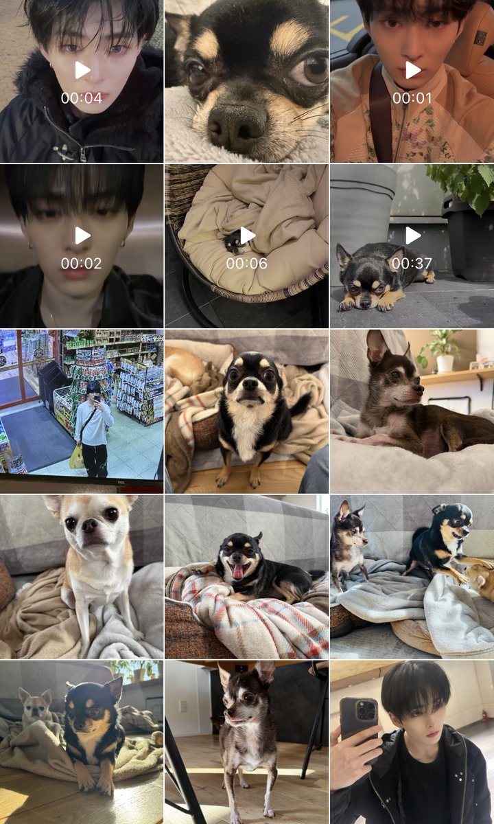 티티໒꒱ྀི tweet media
