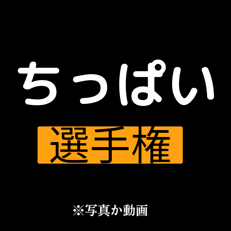 毎日が休日選手権 tweet media