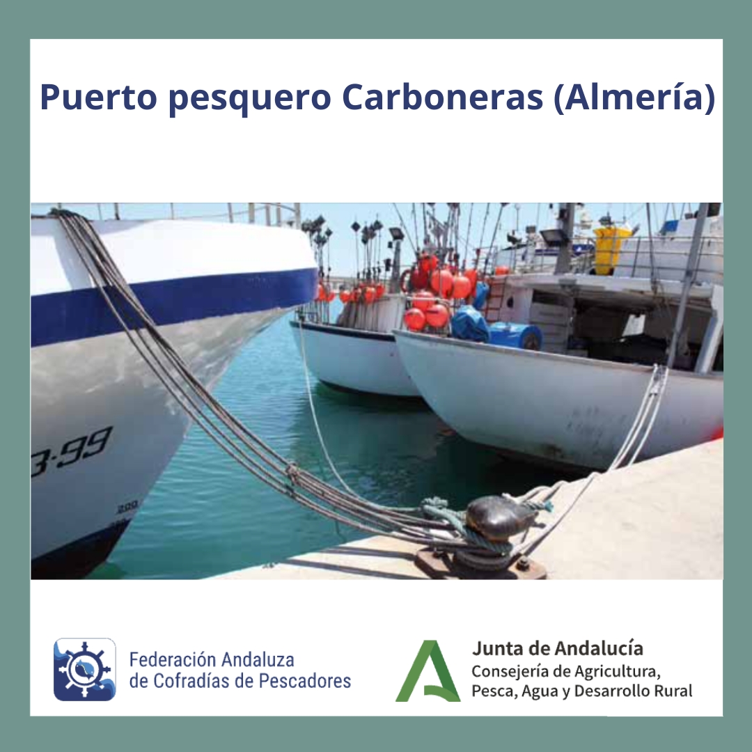 Federación Andaluza de Cofradías de Pescadores tweet media