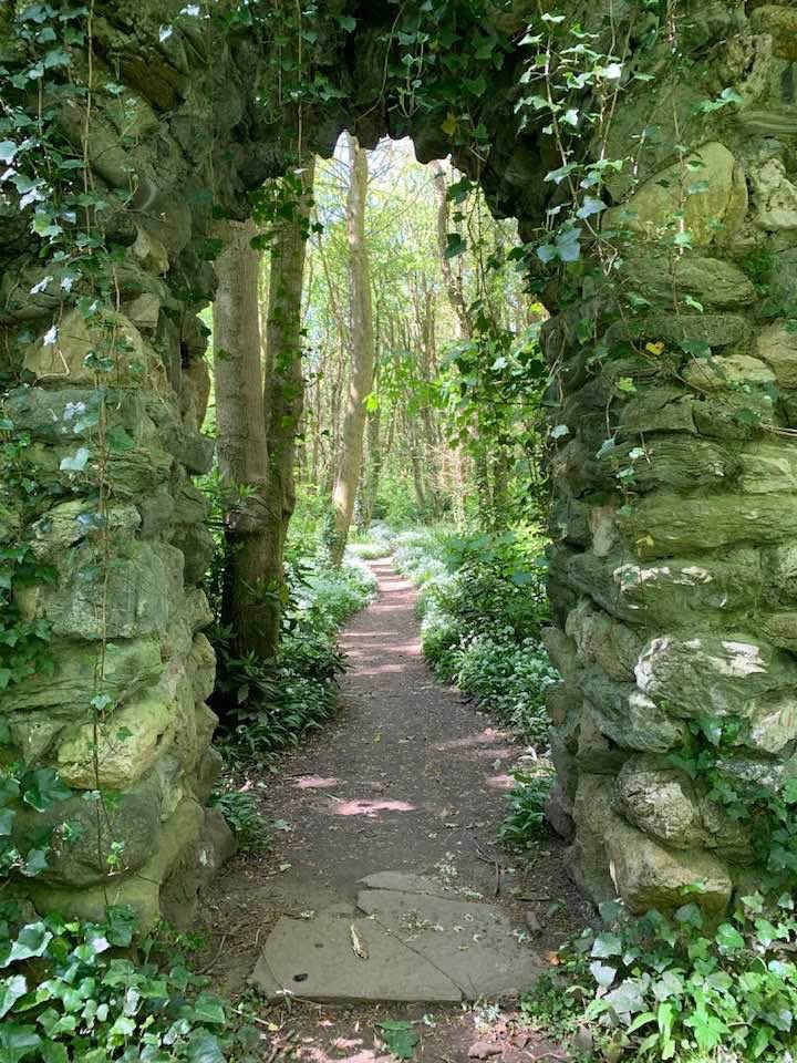 ACHUB PENRHOS / SAVE PENRHOS NATURE RESERVE 🍃💚🍃 tweet media
