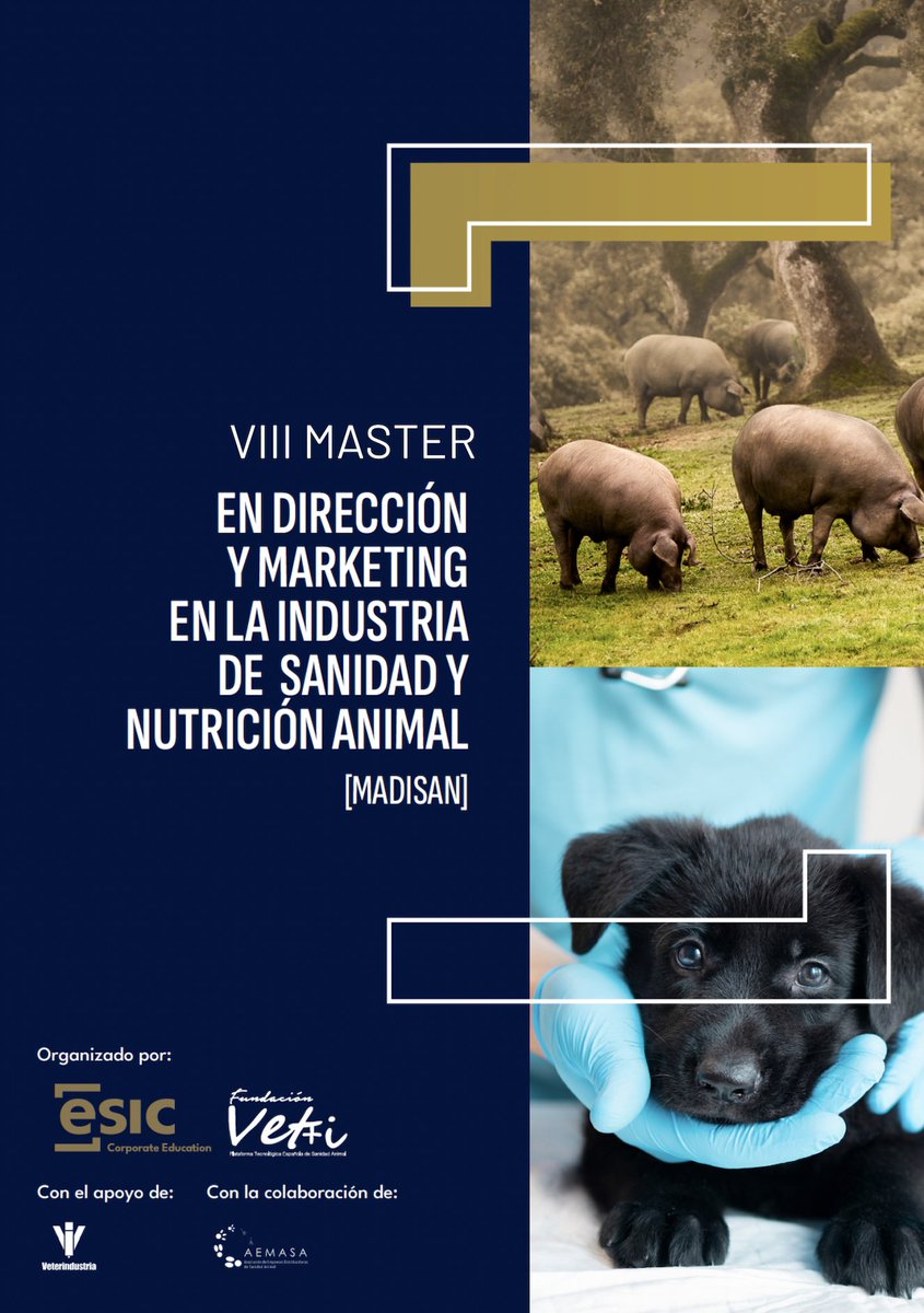 Vetmasi's tweet photo. 🎓 Vuelve el Máster de referencia en sanidad y nutrición animal (2026–2027) con ESIC. Programa híbrido en Madrid, formación directiva y PFM. Inicio nov 2026. Con respaldo de Veterindustria y AEMASA. 
🔗Info e inscripción: https://t.co/236BUdEXaC
https://t.co/tfN19KLw4M https://t.co/Ca3SqKimmg