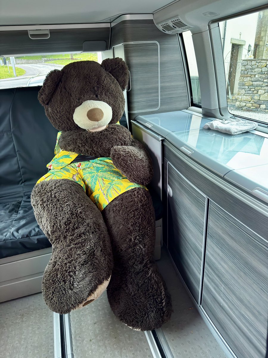 Cousin Scrappy 🐻 tweet media
