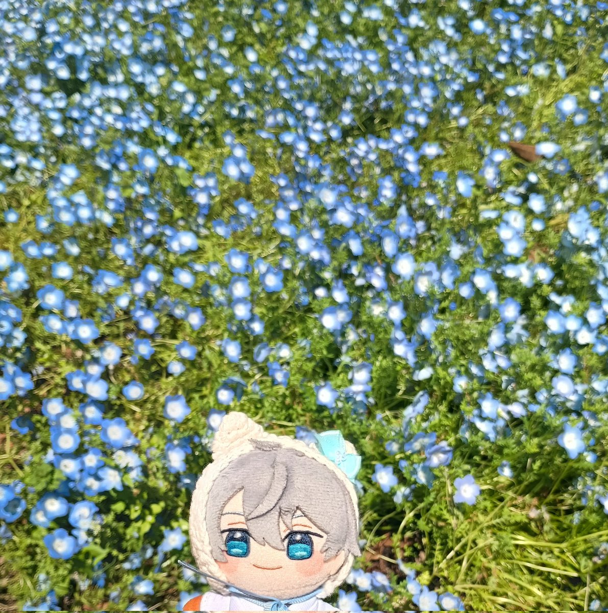 ねぎま🌱🍃 tweet media