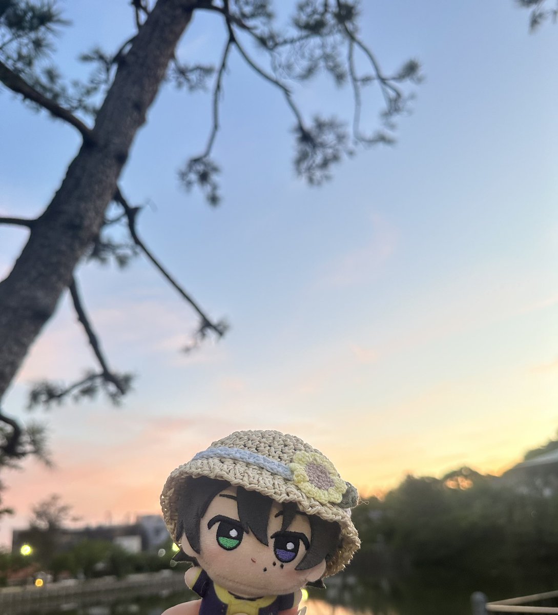 ともぴ tweet media