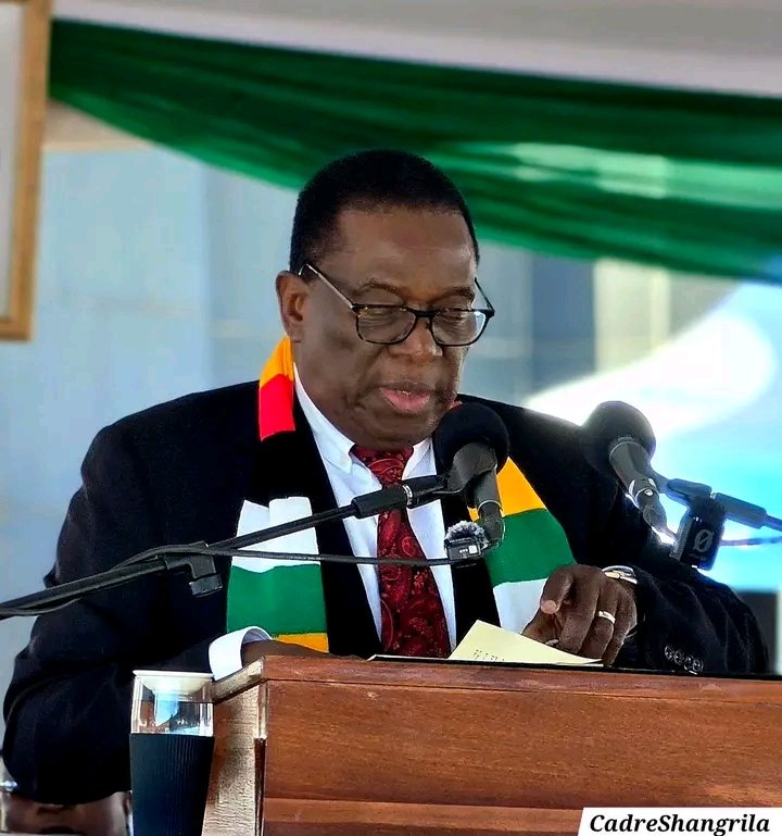 Harrison Risinamhodzi tweet media
