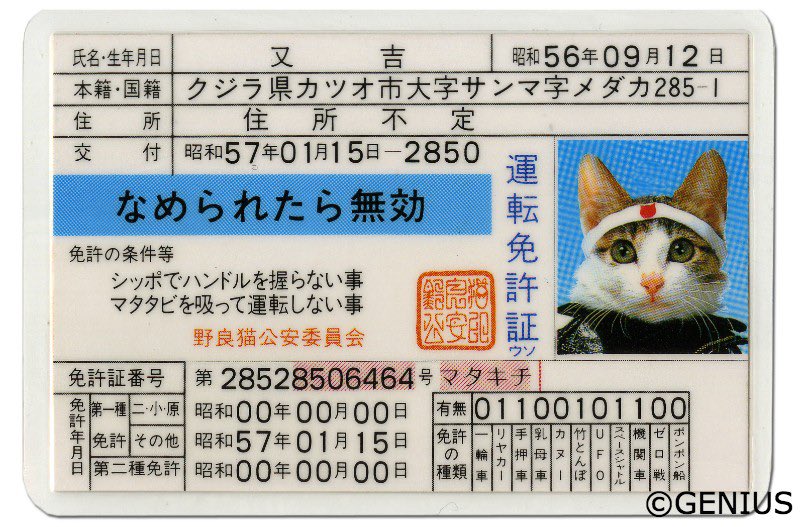 ギルボン tweet media