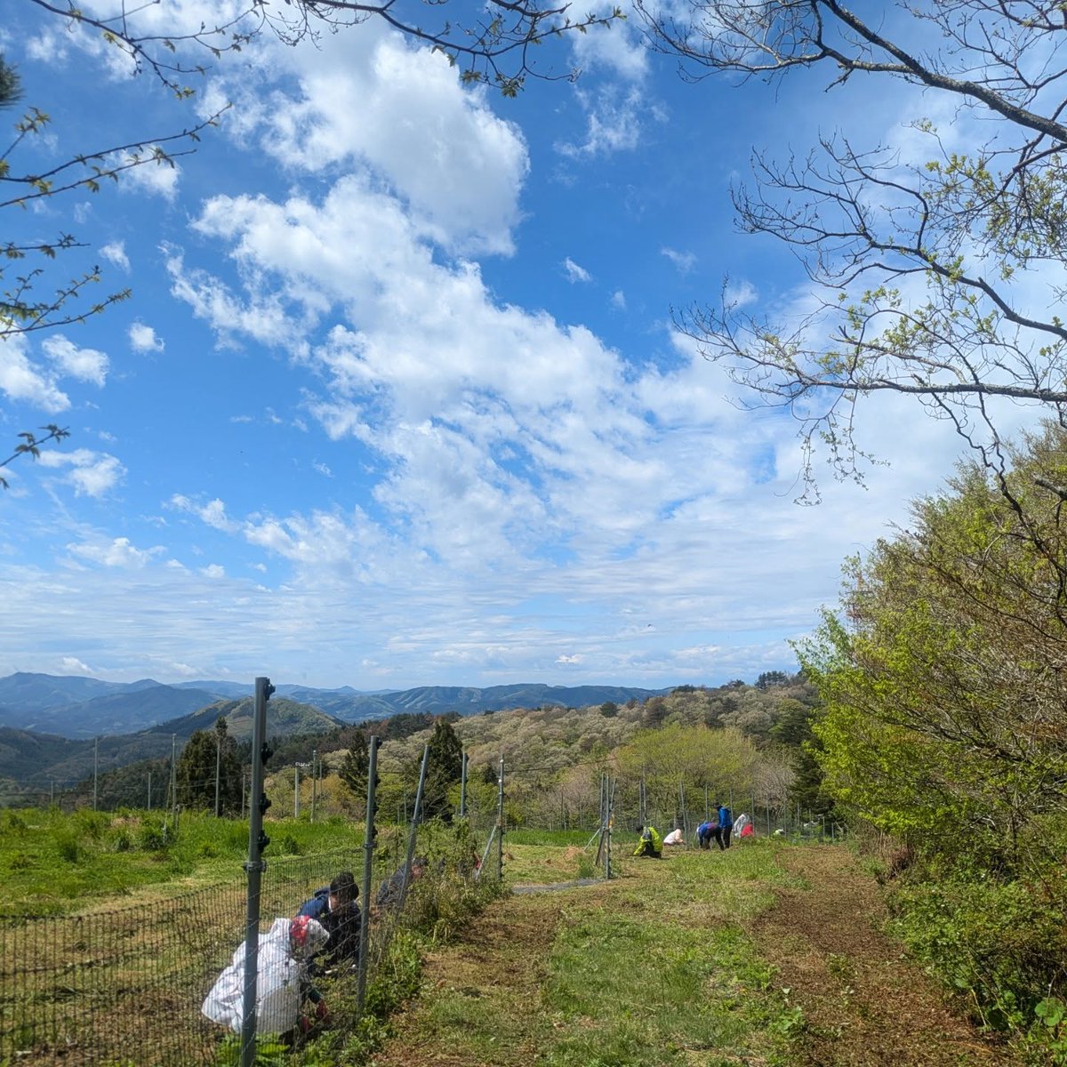 南三陸ワイナリー tweet media