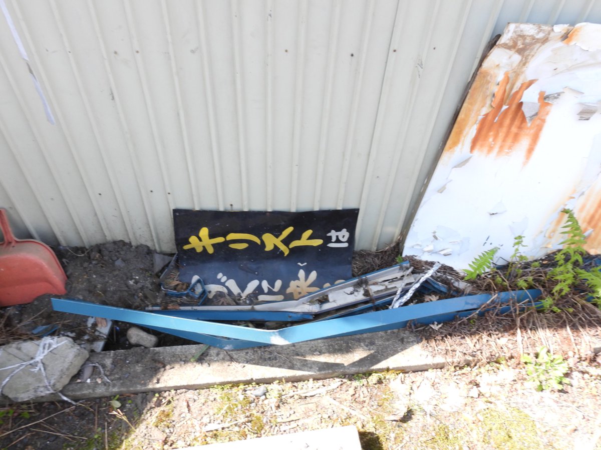 誤植⭐⭐ tweet media