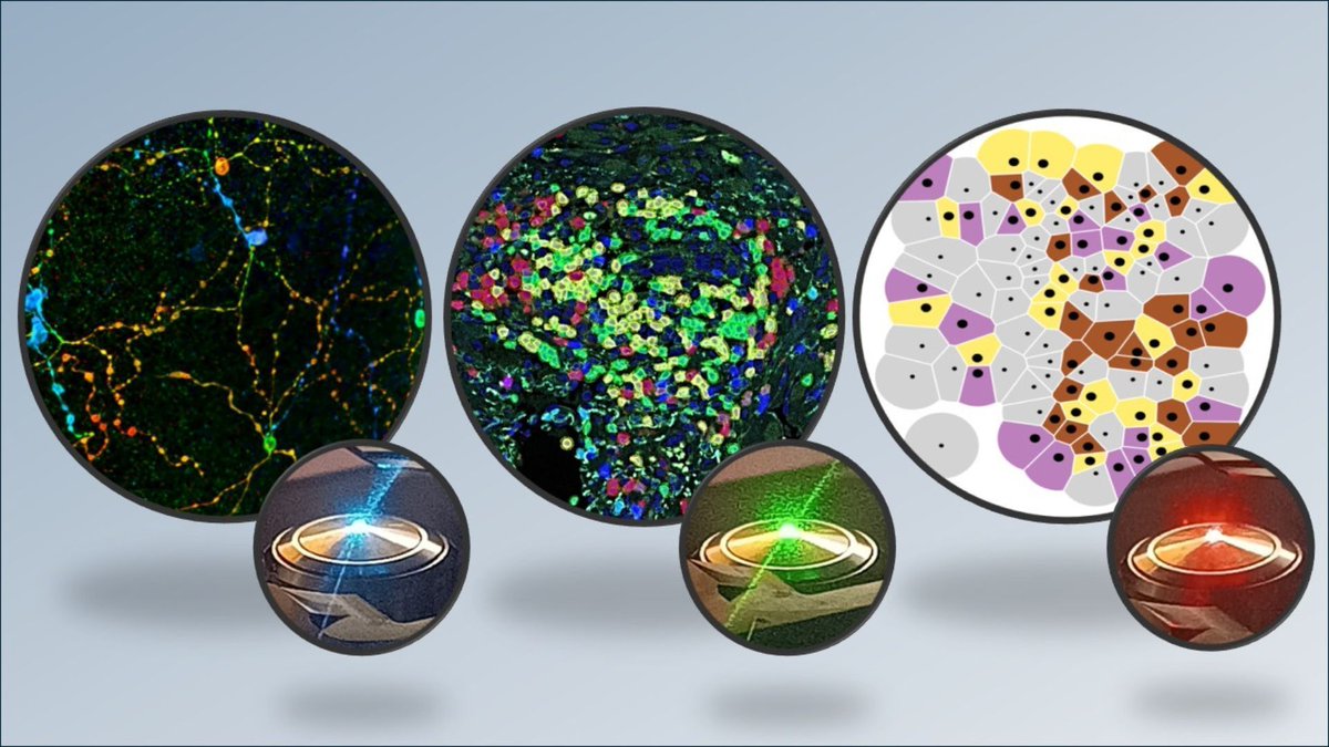 Euro-BioImaging ERIC tweet media